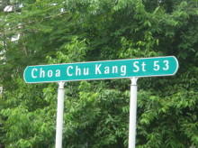 Choa Chu Kang Street 53 #87552
